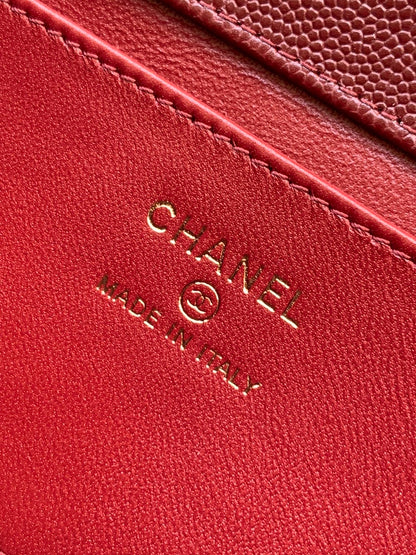 Anum Bags CHn Luxury Bag --113736