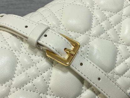 Anum Bags Diorn Luxury Bag --116220