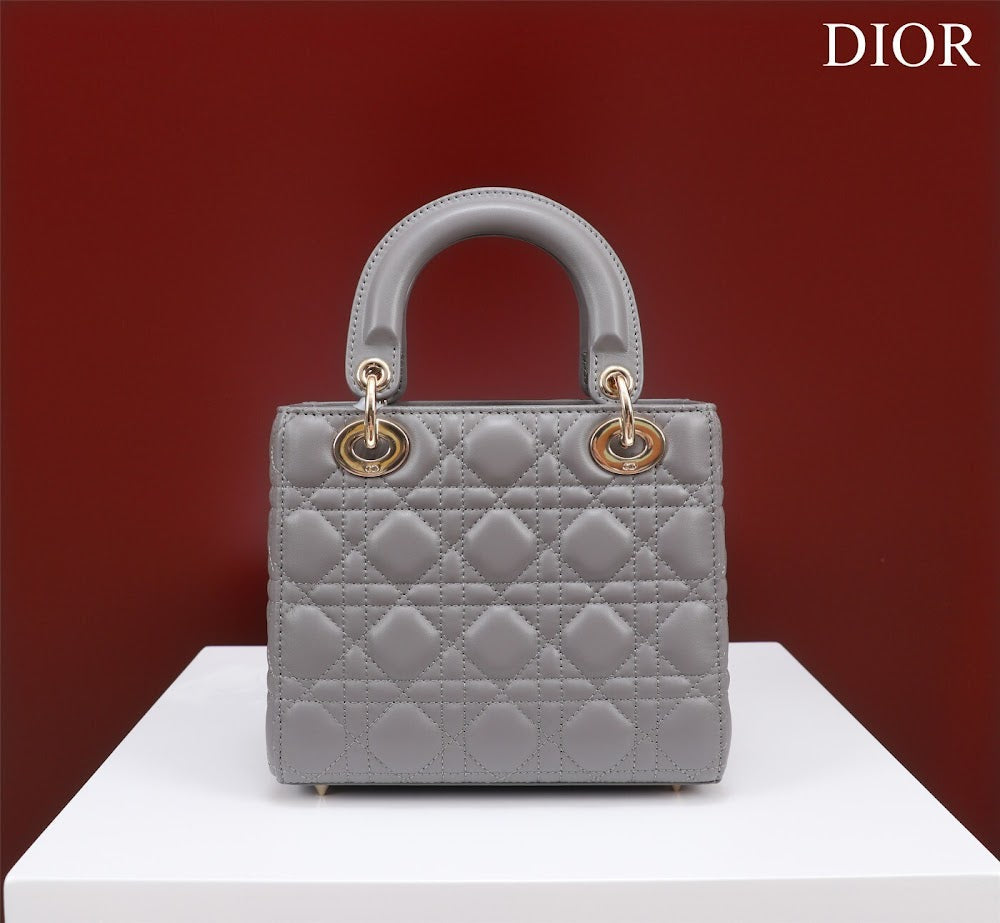 Anum Bags Diorn Luxury Bag --115926
