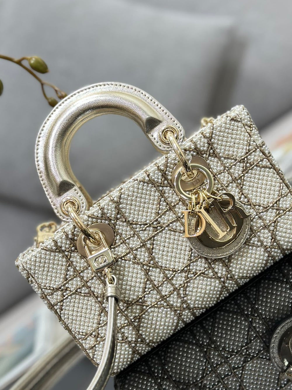 Anum Bags Diorn Luxury Bag --115676