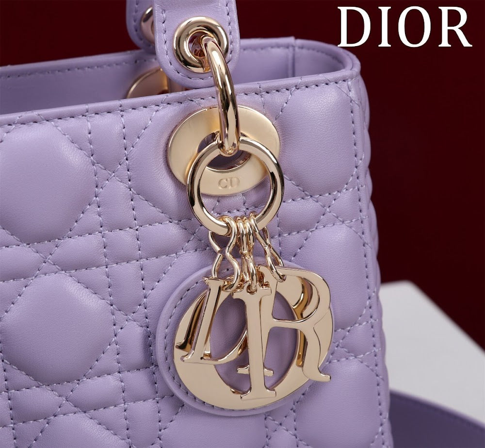 Anum Bags Diorn Luxury Bag --115929
