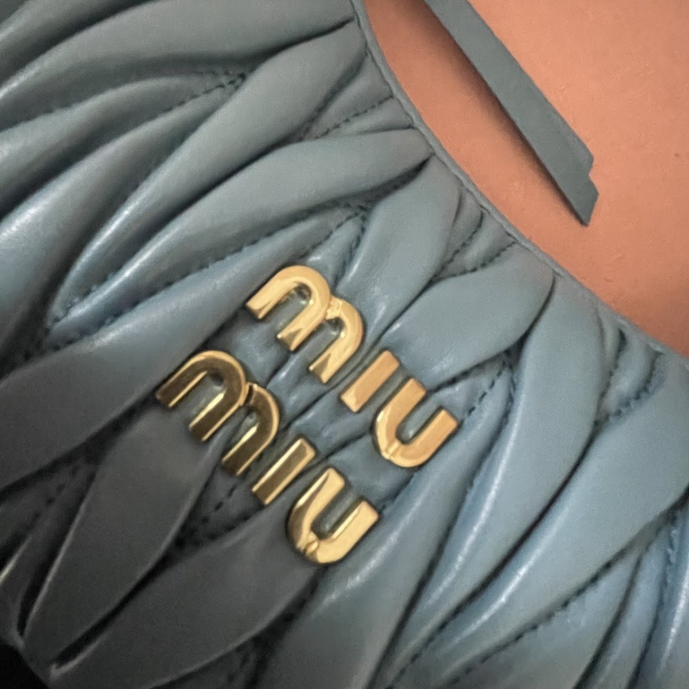 Anum Bags Miun Miun Luxury Bag --122958