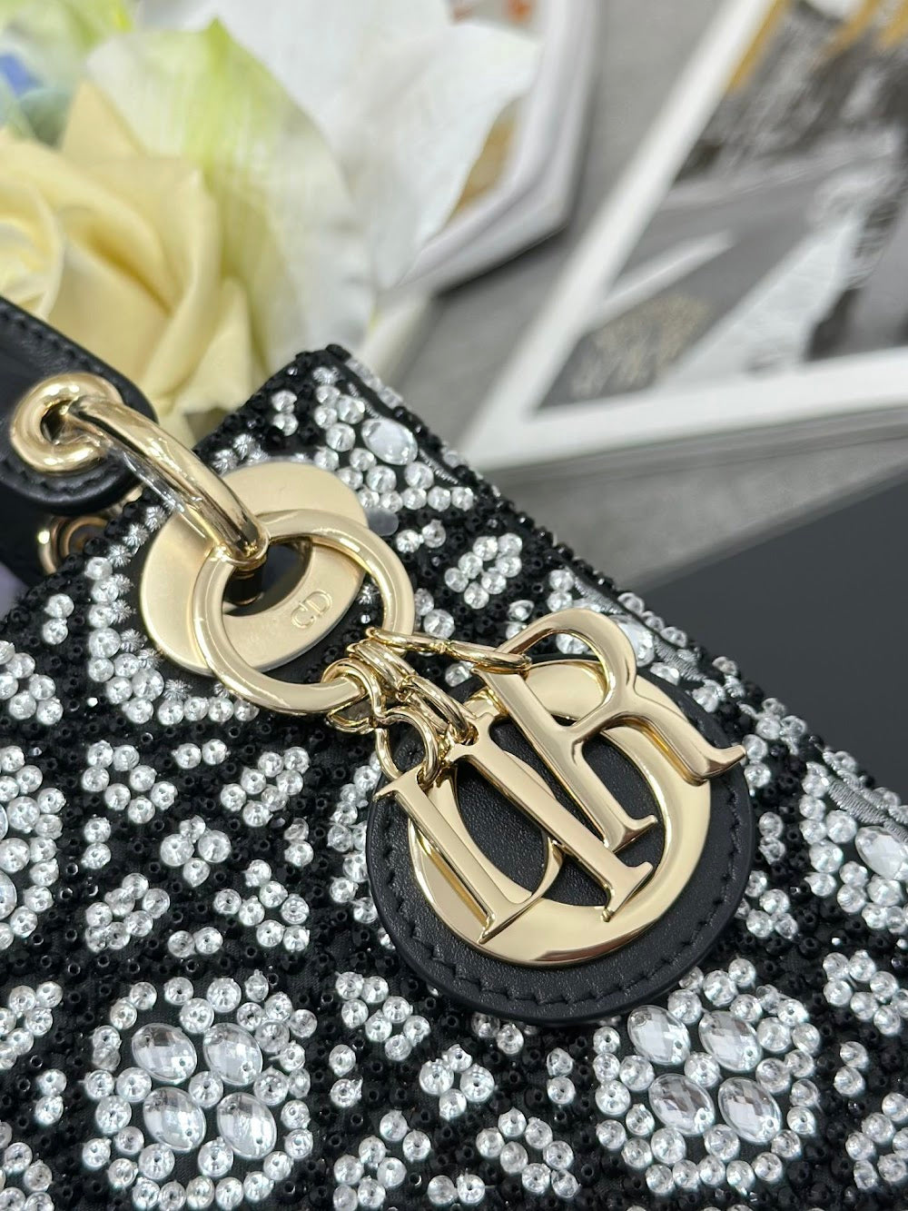 Anum Bags Diorn Luxury Bag --115616