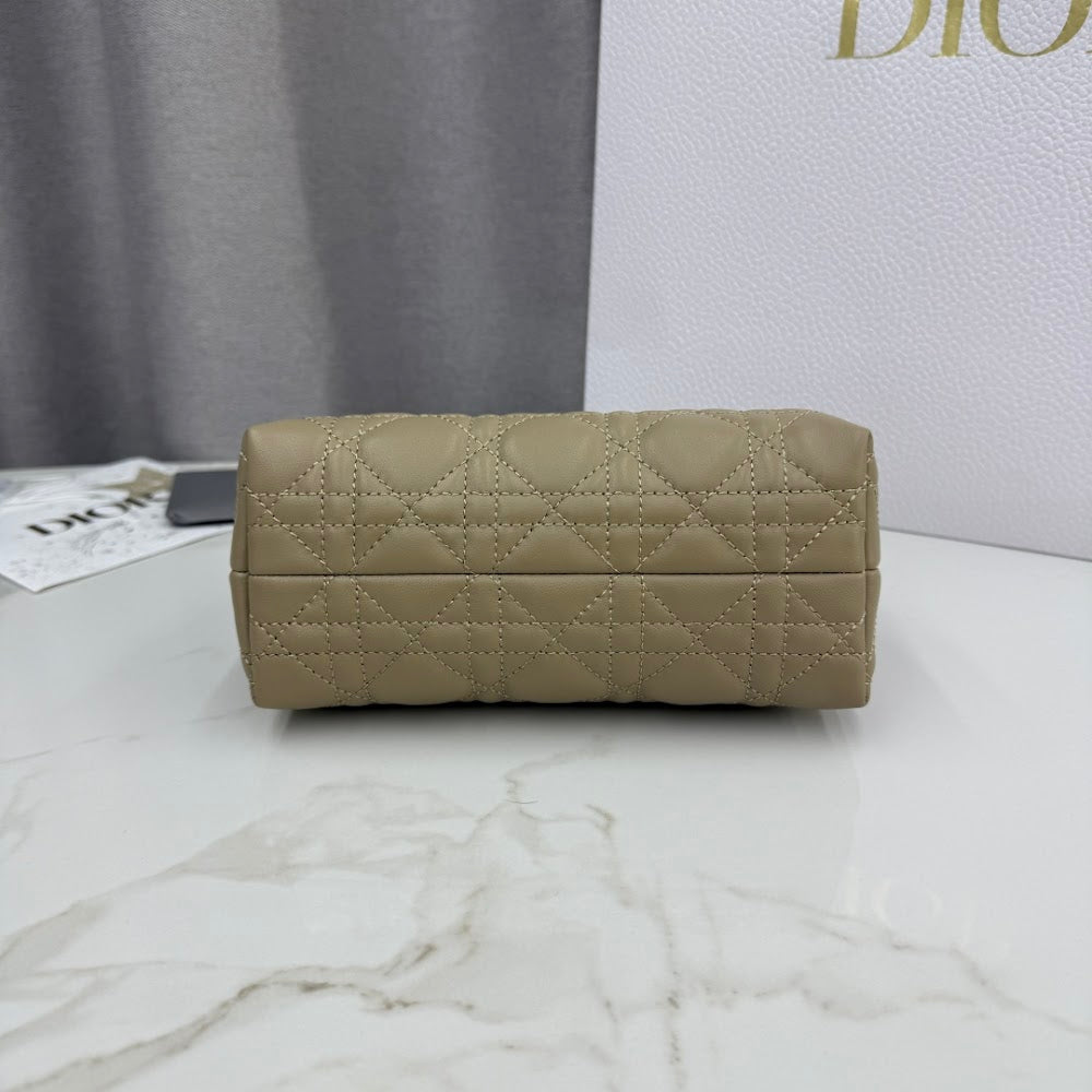 Anum Bags Diorn Luxury Bag --116099