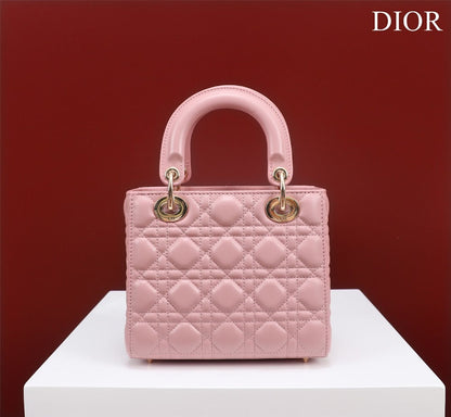 Anum Bags Diorn Luxury Bag --115915