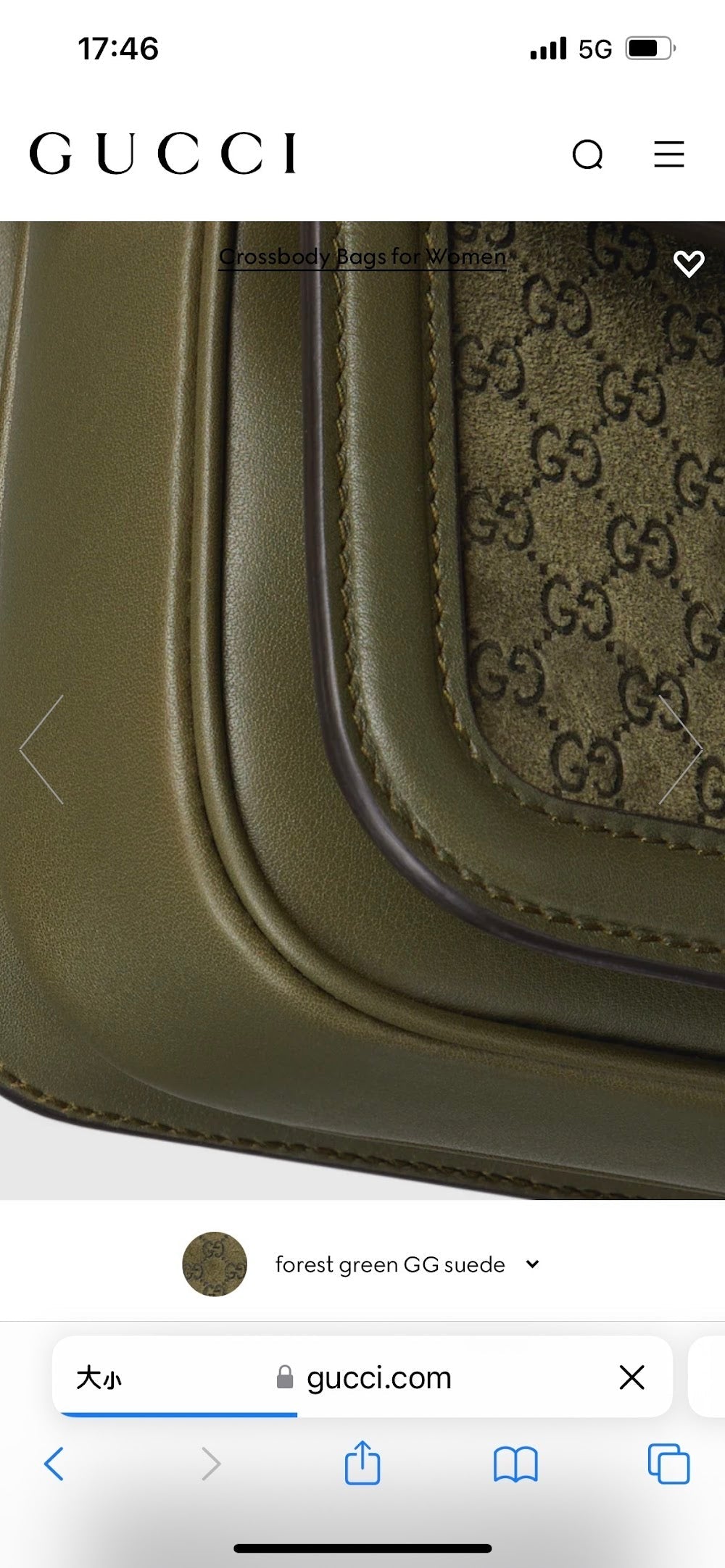 Anum Bags Guccin Luxury Bag --94372