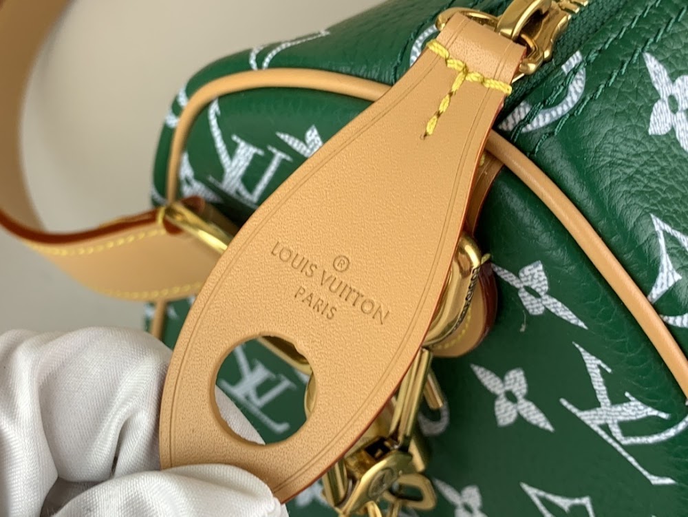 Anum Bags ln Luxury Bag --62291