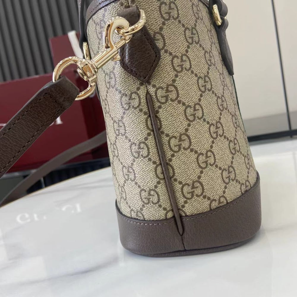 Anum Bags Guccin Luxury Bag --94623