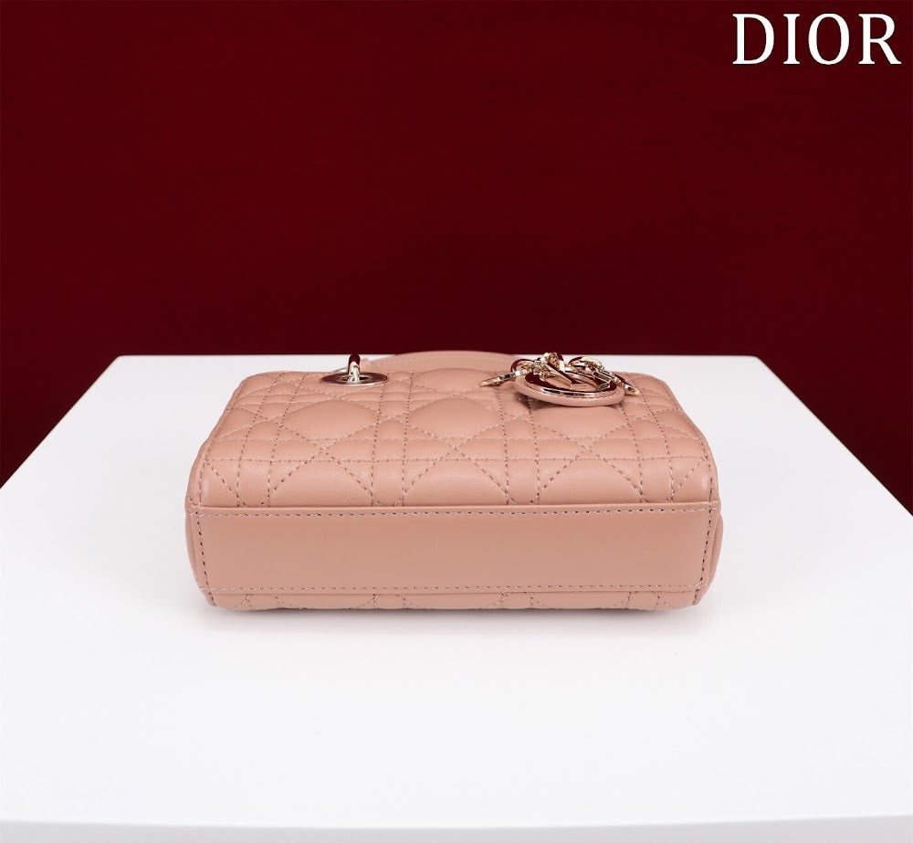 Anum Bags Diorn Luxury Bag --116466