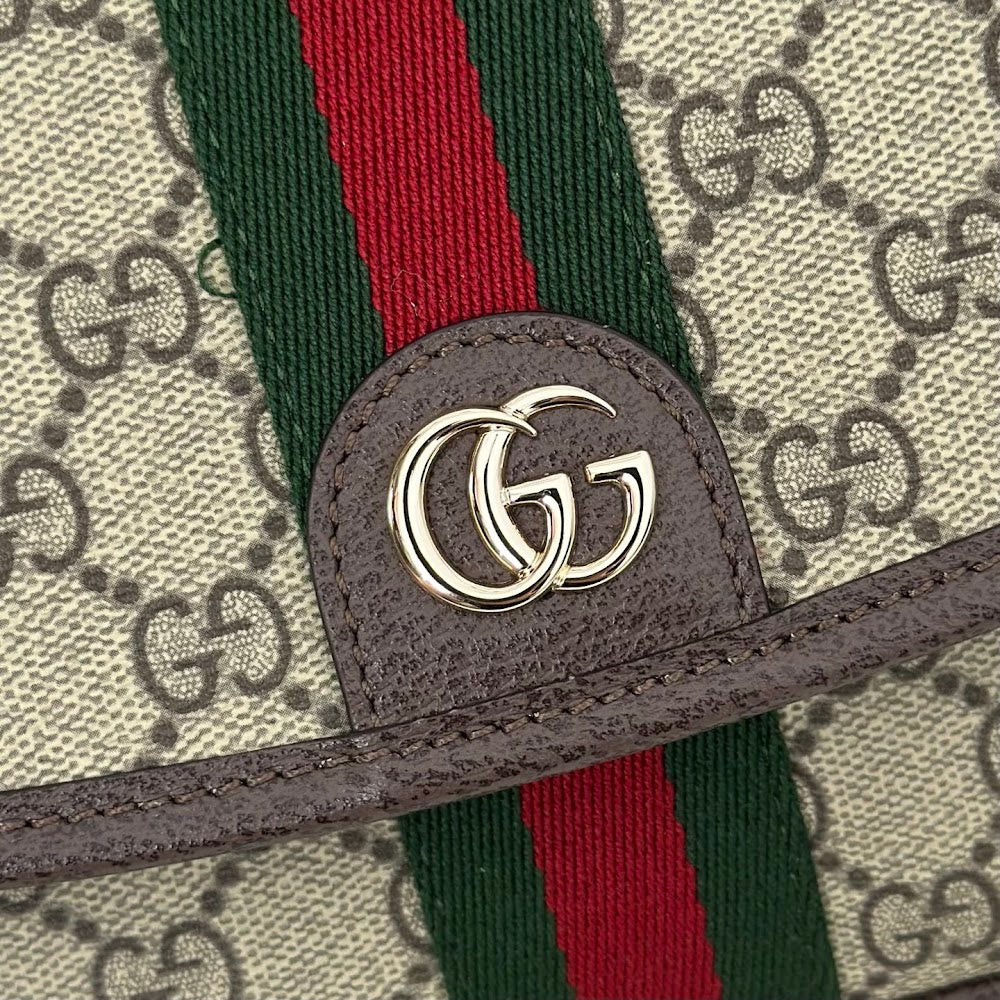 Anum Bags Guccin Luxury Bag --95523