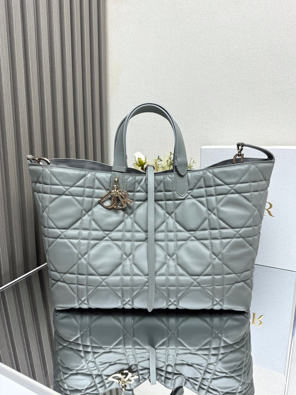 Anum Bags Diorn Luxury Bag --116402