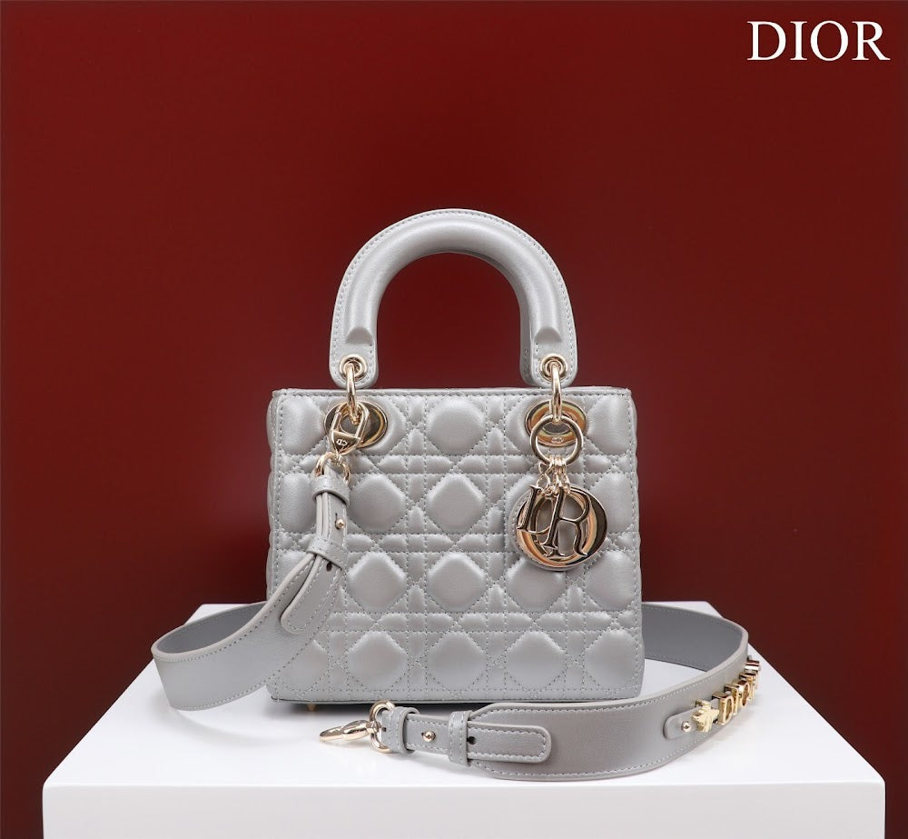 Anum Bags Diorn Luxury Bag --115927