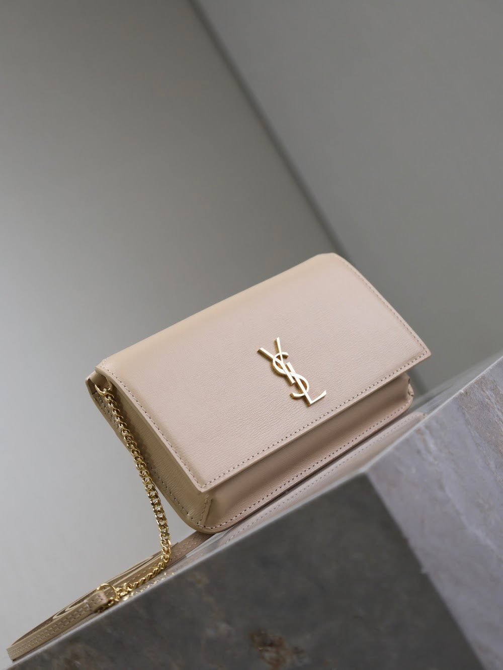 Anum Bags YSLn Luxury Bag --120478