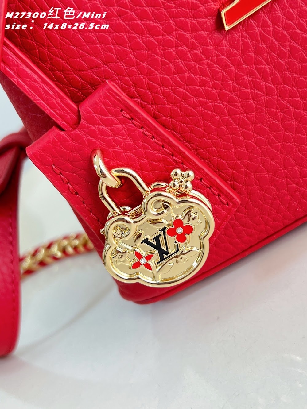 Anum Bags ln Luxury Bag --96503