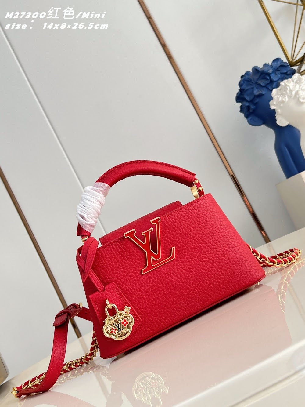 Anum Bags ln Luxury Bag --96503