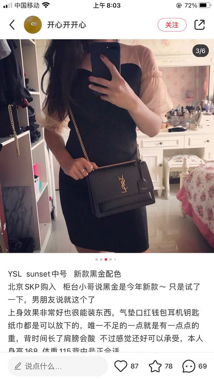 Anum Bags YSLn Luxury Bag --119964