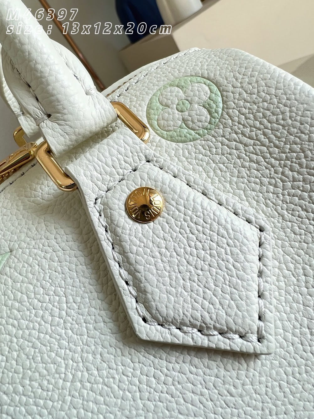 Anum Bags ln Luxury Bag --96113