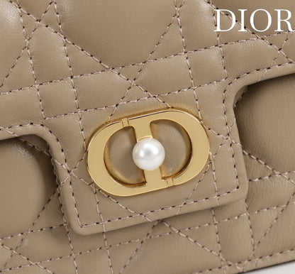 Anum Bags Diorn Luxury Bag --116375