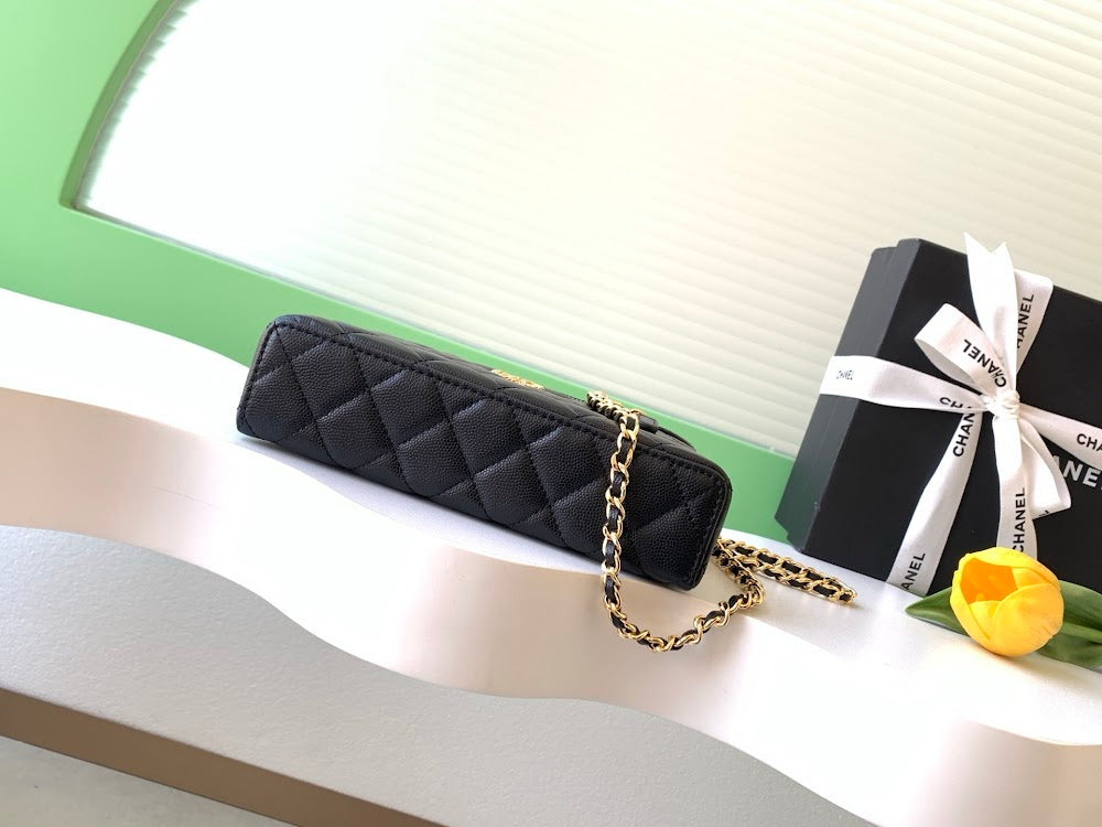 Anum Bags CHn Luxury Bag --113786