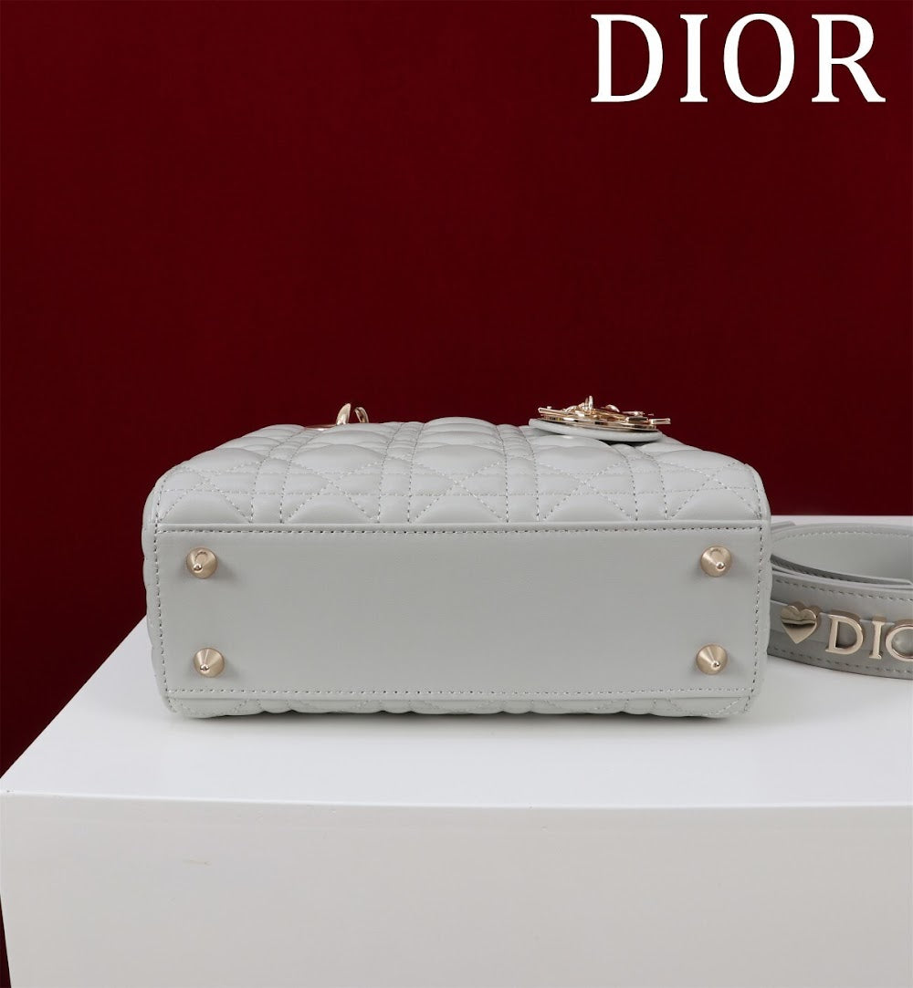 Anum Bags Diorn Luxury Bag --115936