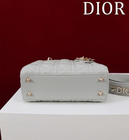 Anum Bags Diorn Luxury Bag --115936