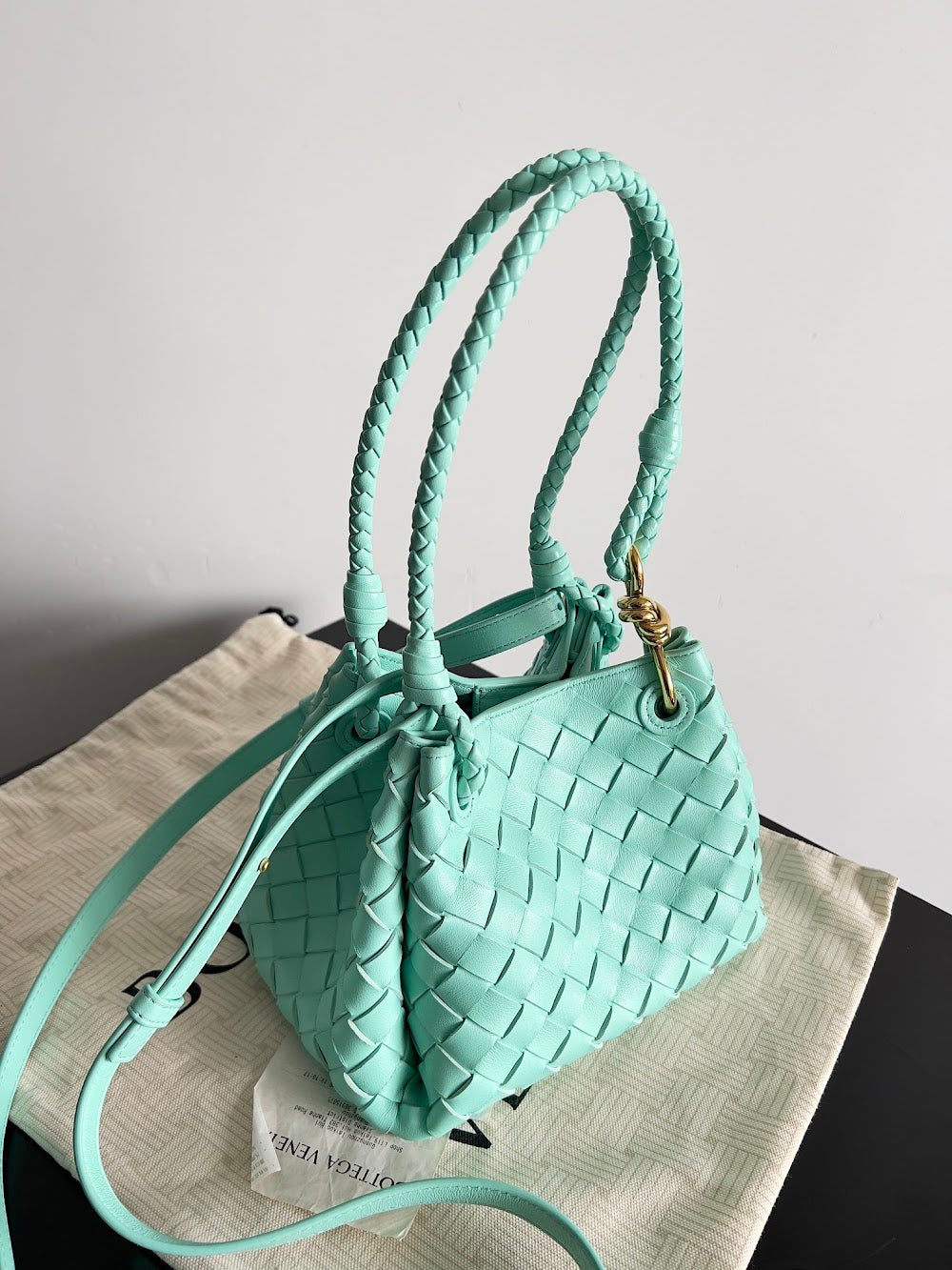 Anum Bags Bottegan Luxury Bag --90954