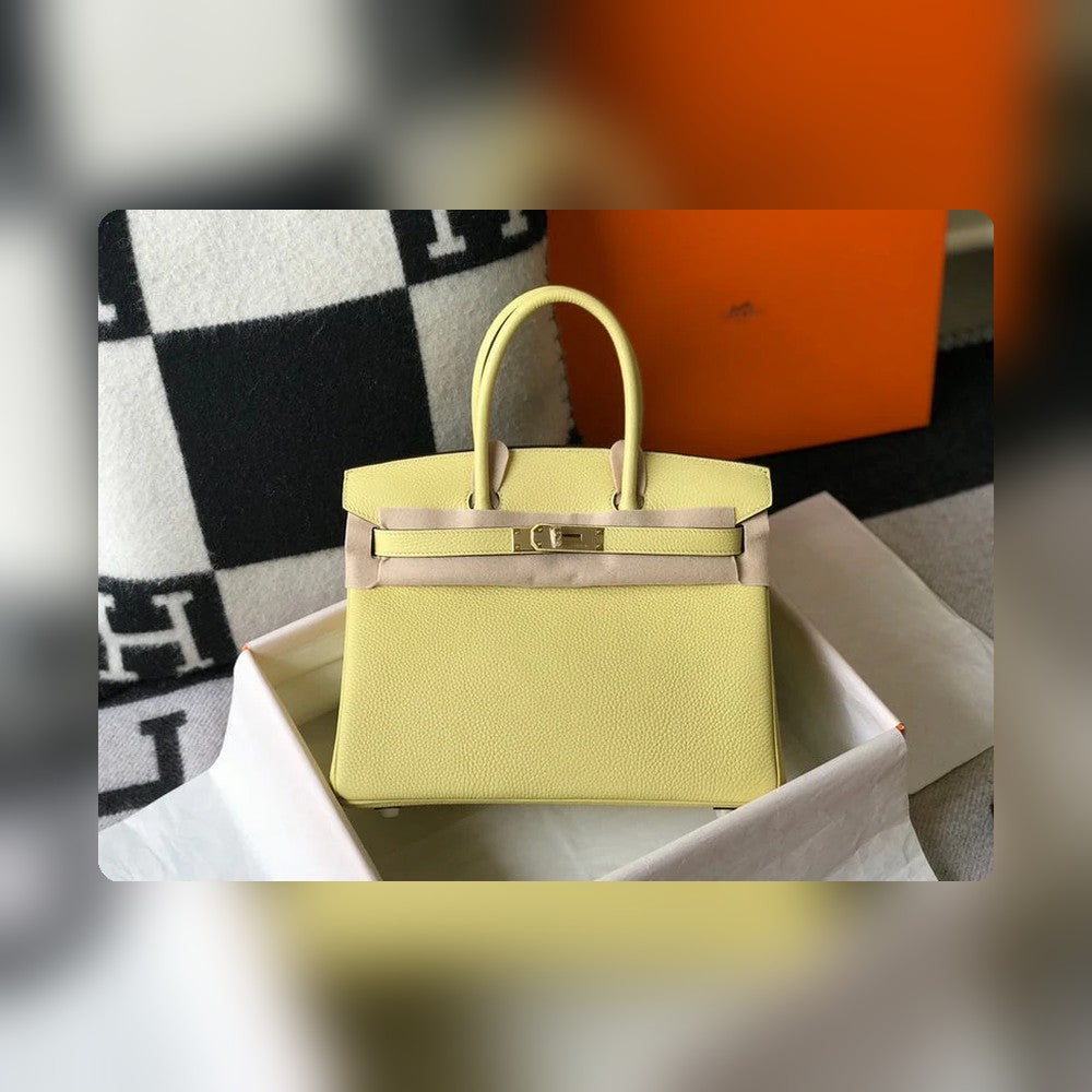 new-elite-designer-bags-nm23478