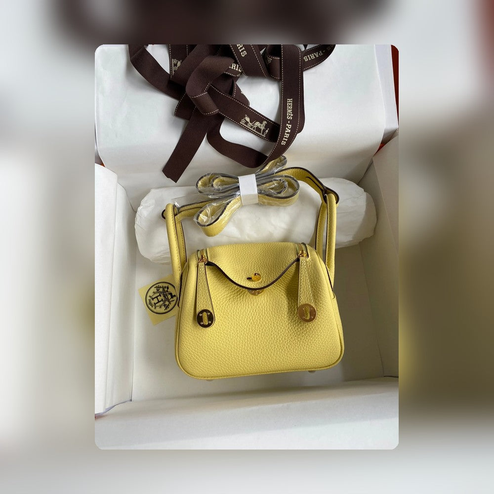 new-designer-premium-bags-nm23044