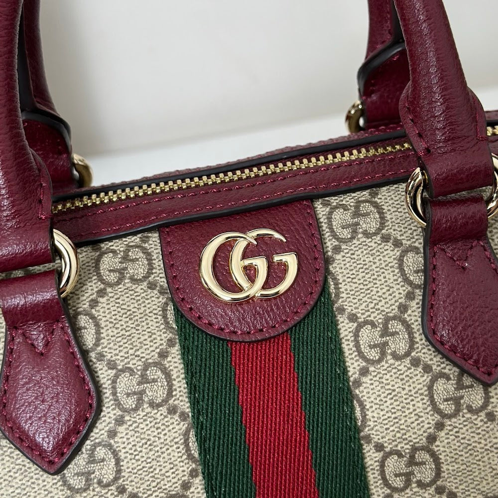 Anum Bags Guccin Luxury Bag --94317