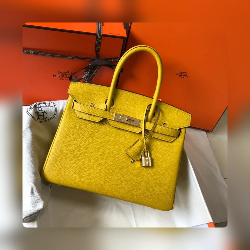 new-luxury-designer-bags-nm23783