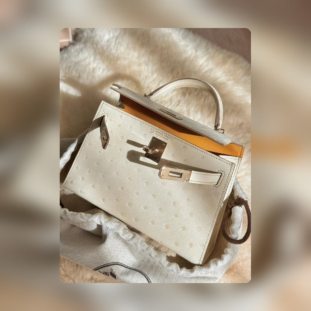new-elite-designer-bags-nm23865