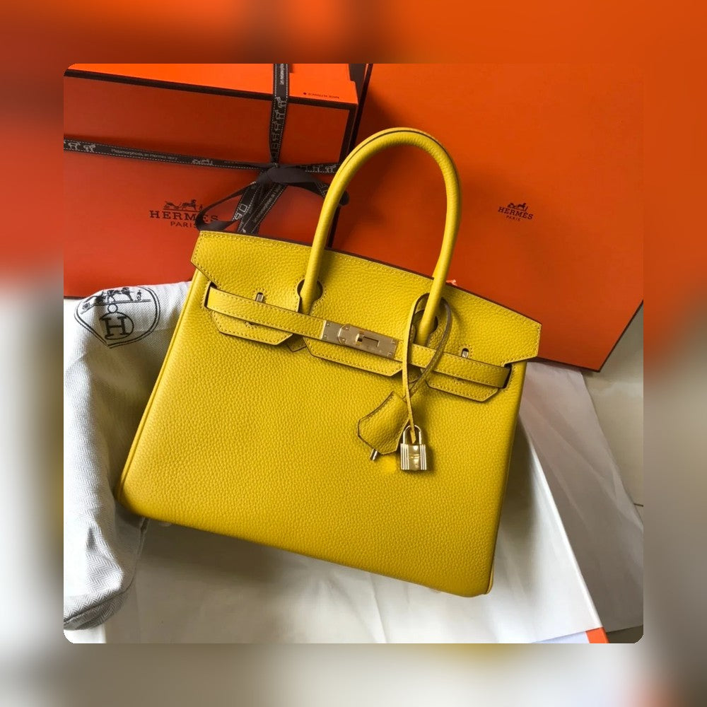 new-designer-premium-bags-nm23180