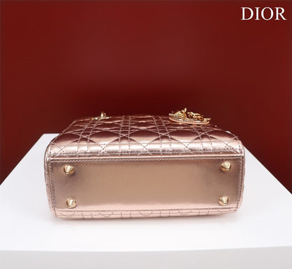 Anum Bags Diorn Luxury Bag --115937