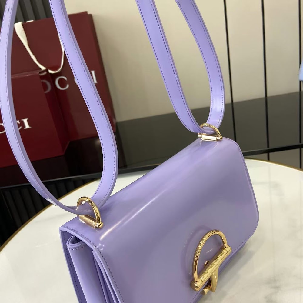 Anum Bags Guccin Luxury Bag --94971