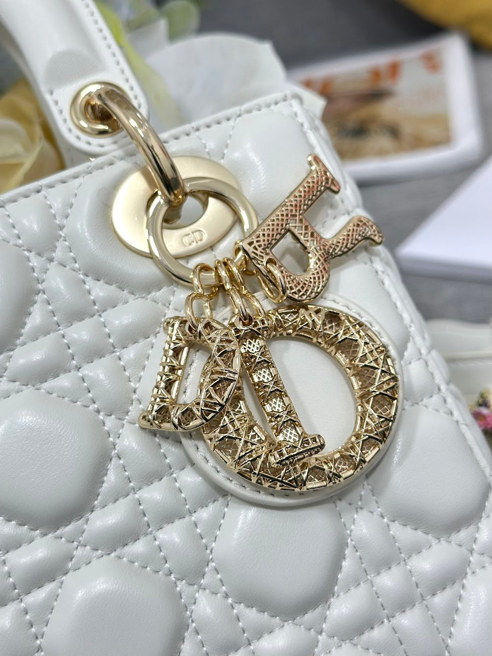 Anum Bags Diorn Luxury Bag --115960