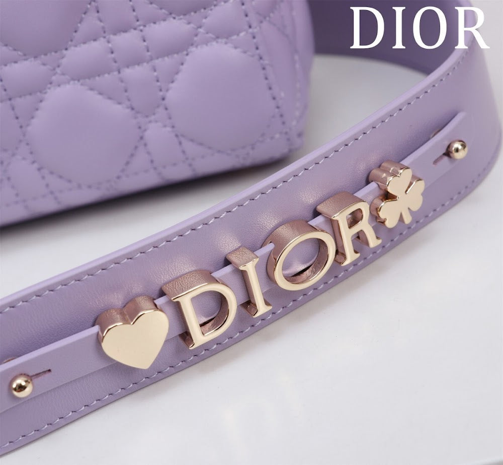 Anum Bags Diorn Luxury Bag --115929