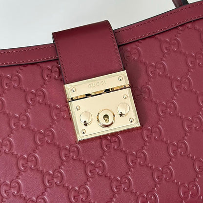 Anum Bags Guccin Luxury Bag --94712