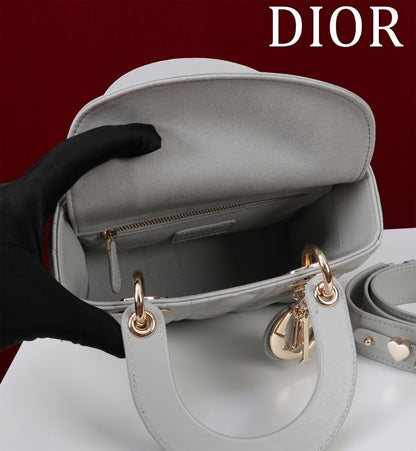 Anum Bags Diorn Luxury Bag --115936