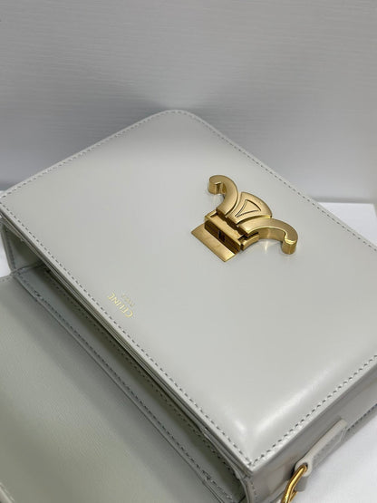 Anum Bags Celine Luxury Bag --111998