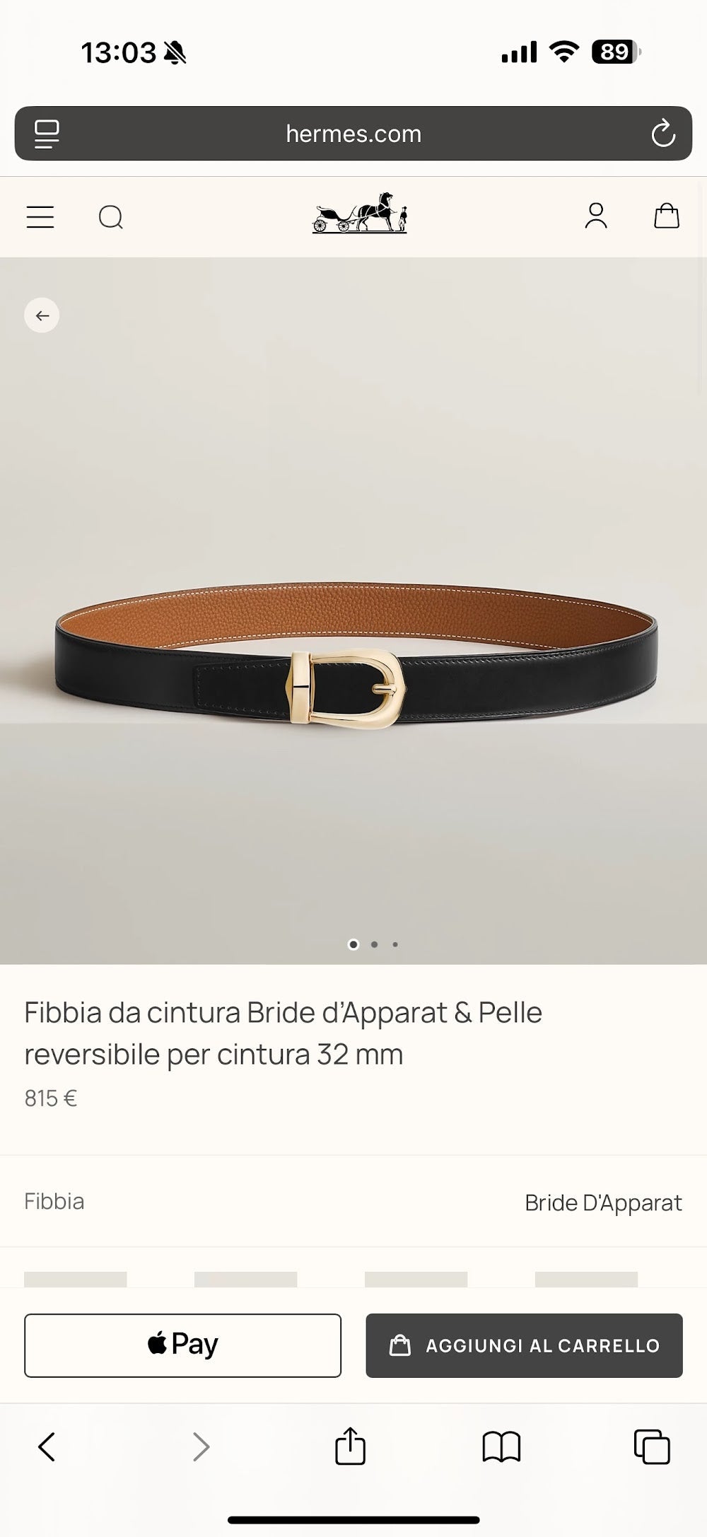 Anum Bags Hermesn Luxury Belt --106279
