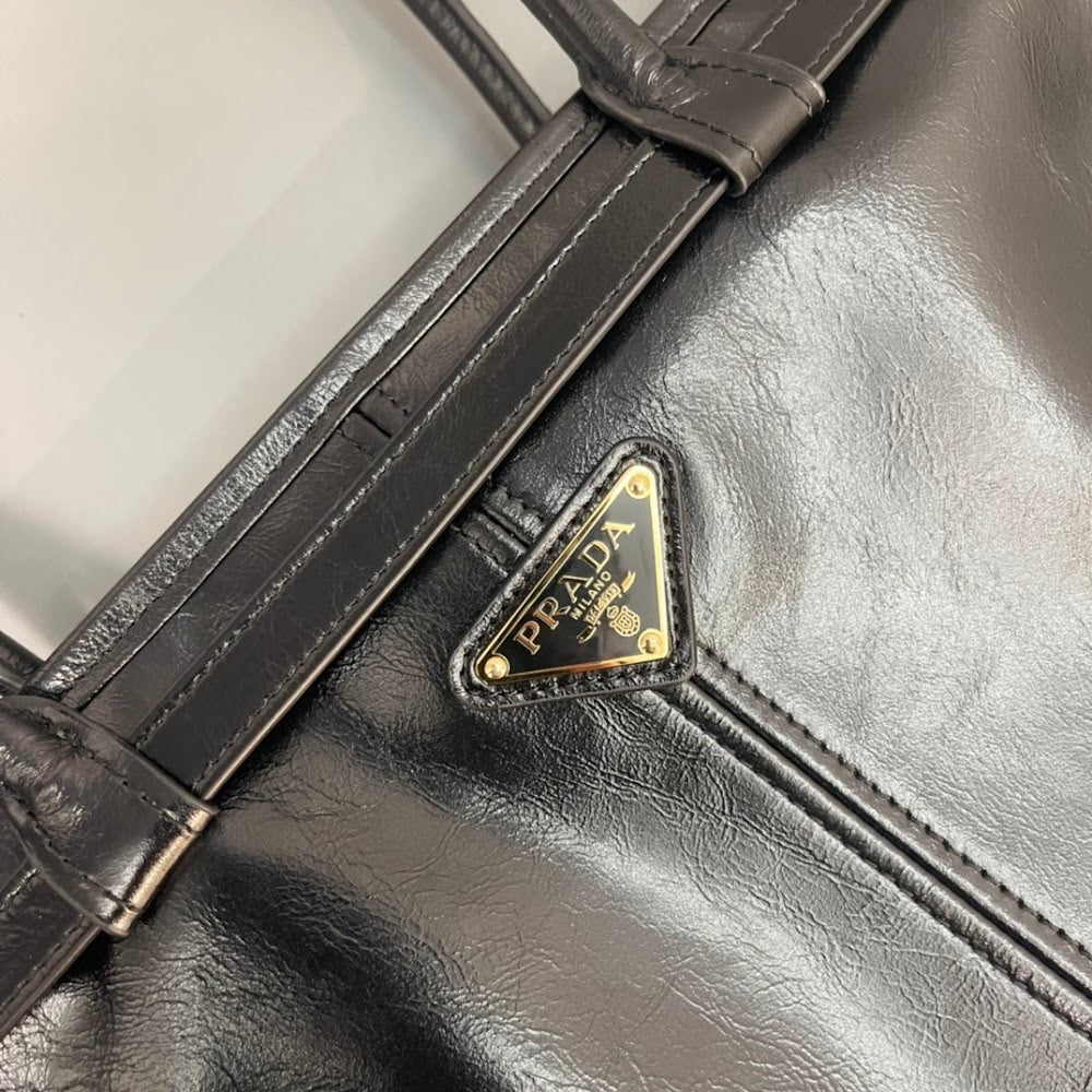 Anum Bags Pradn Luxury Bag --102606