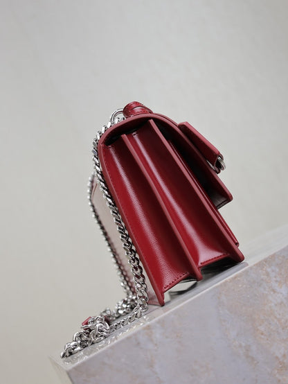 Anum Bags YSLn Luxury Bag --119524