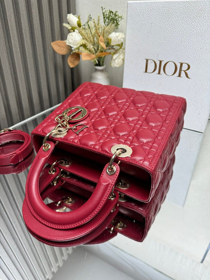 Anum Bags Diorn Luxury Bag --116015