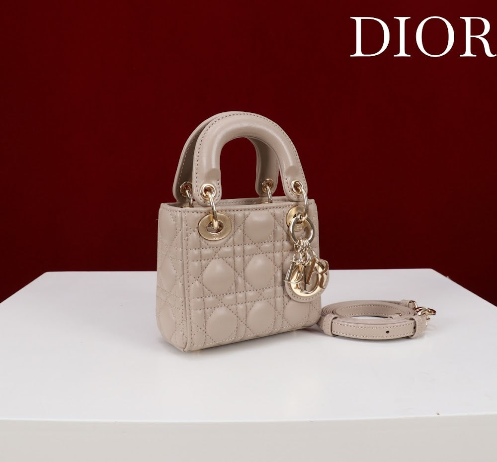 Anum Bags Diorn Luxury Bag --116536
