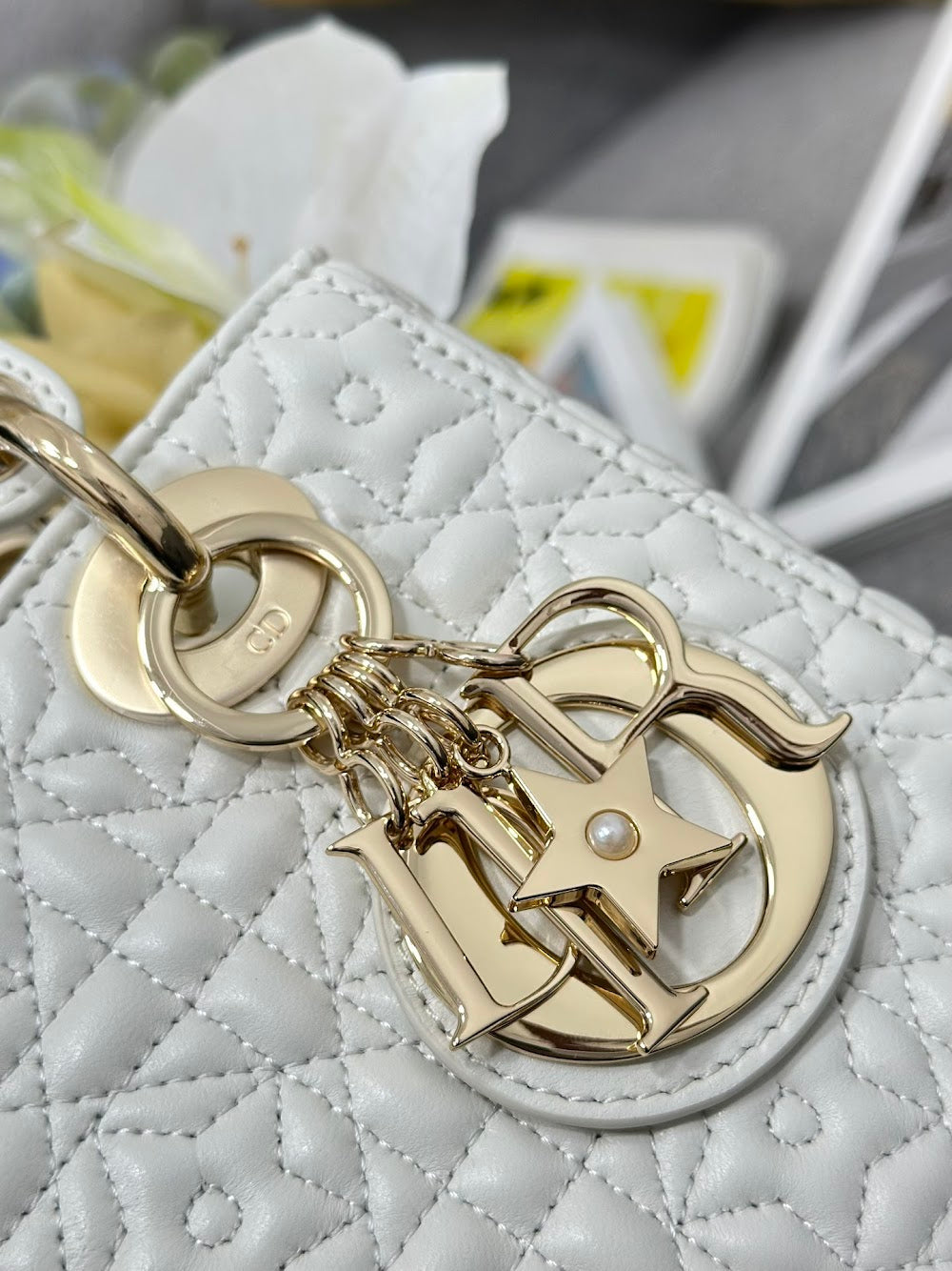 Anum Bags Diorn Luxury Bag --115604