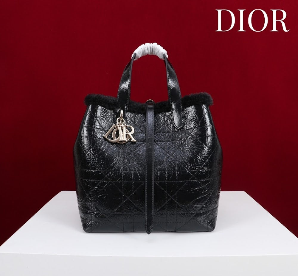 Anum Bags Diorn Luxury Bag --116121