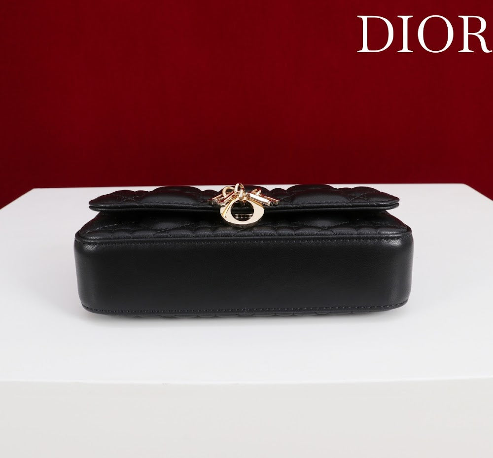 Anum Bags Diorn Luxury Bag --116355