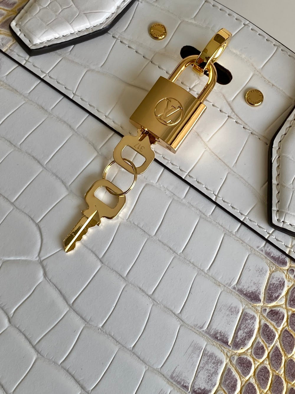 Anum Bags ln Luxury Bag --96208