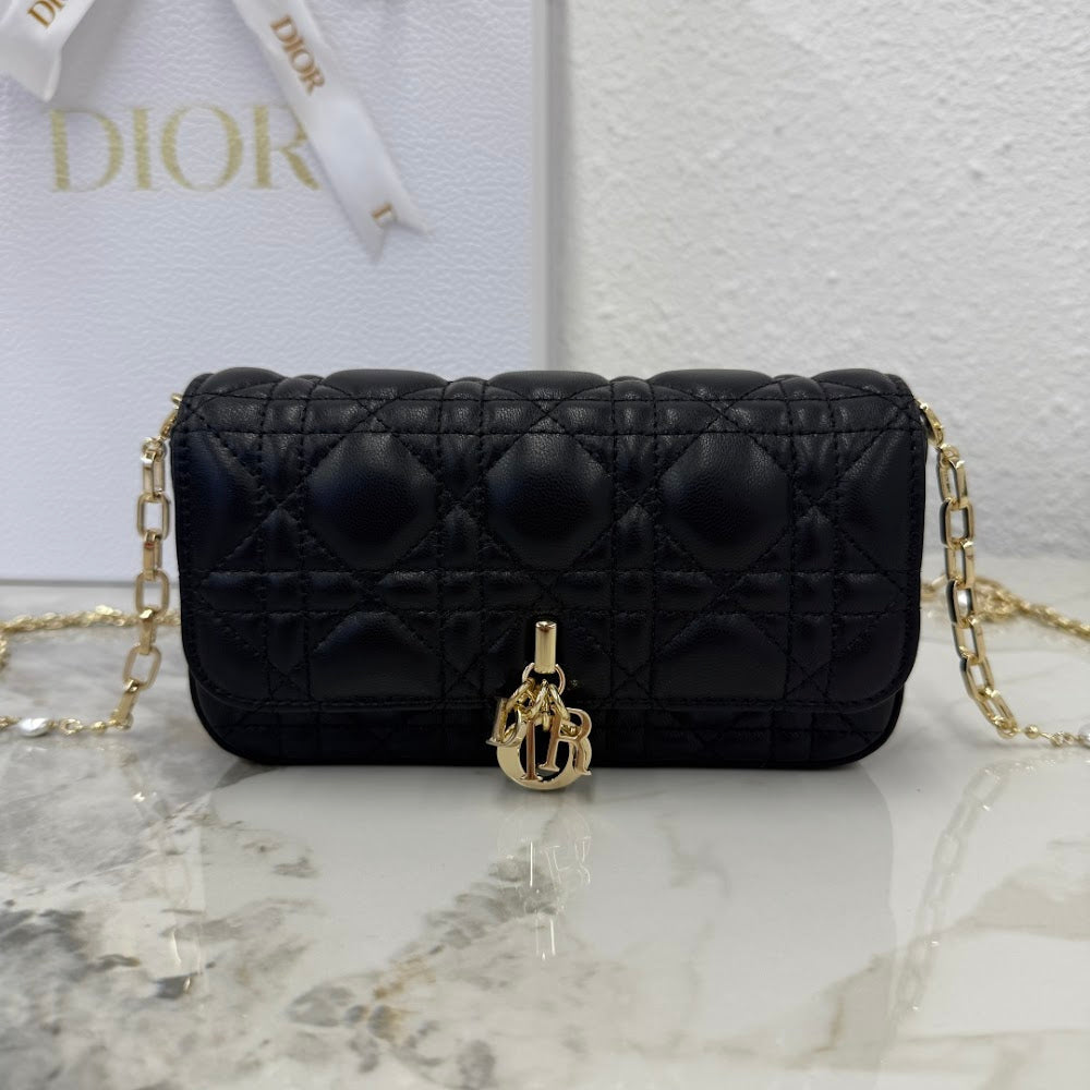 Anum Bags Diorn Luxury Bag --115640