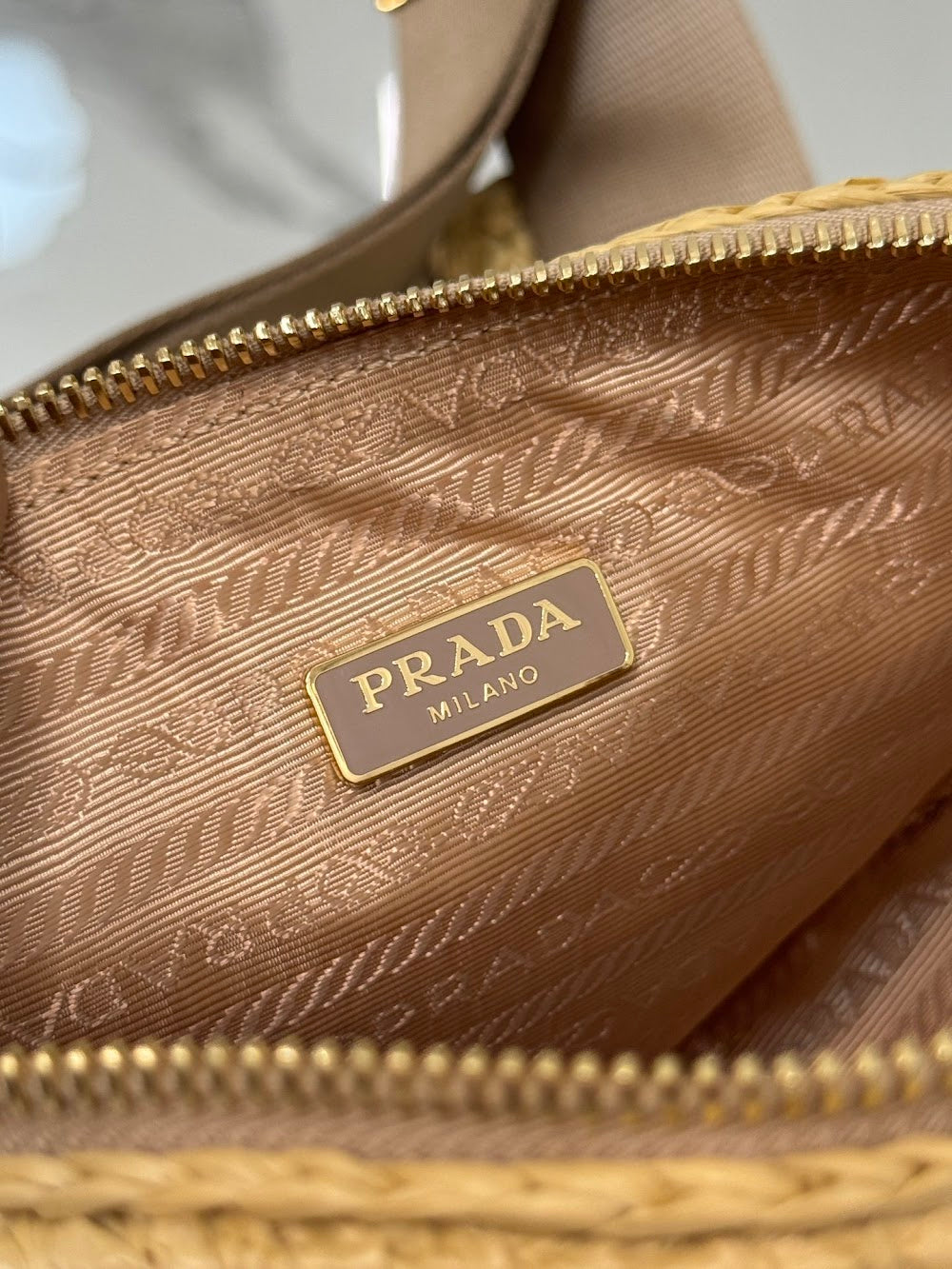 Anum Bags Pradn Luxury Bag --101979